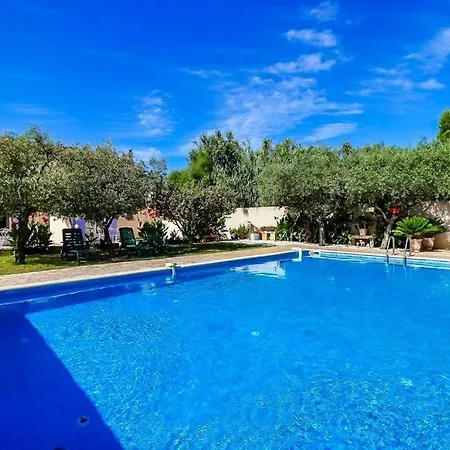Le 4p - Appt 4p Climatise Avec Piscine Beaucaire (Gard)
